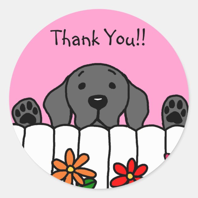 Sticker Rond Black Labrador vous regarde (Devant)