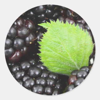 Sticker Rond Blackberry