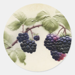 Sticker Rond Blackberry vintages et Feuilles