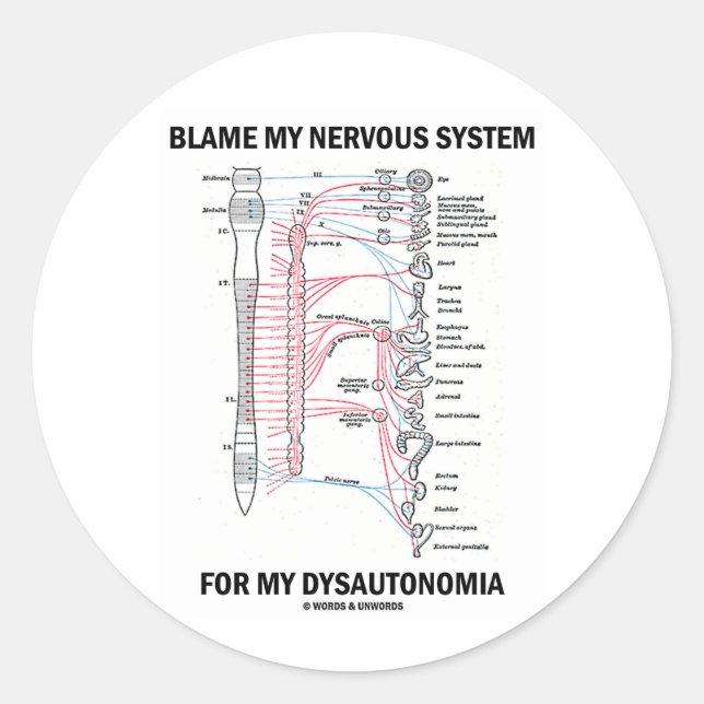 Sticker Rond Blâmez mon système nerveux de ma dysautonomie (Devant)