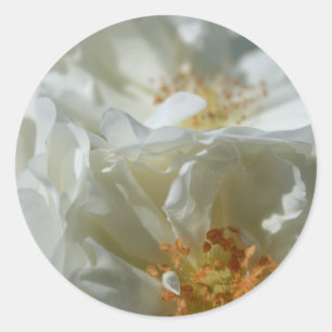 Sticker rond blanc doux 1