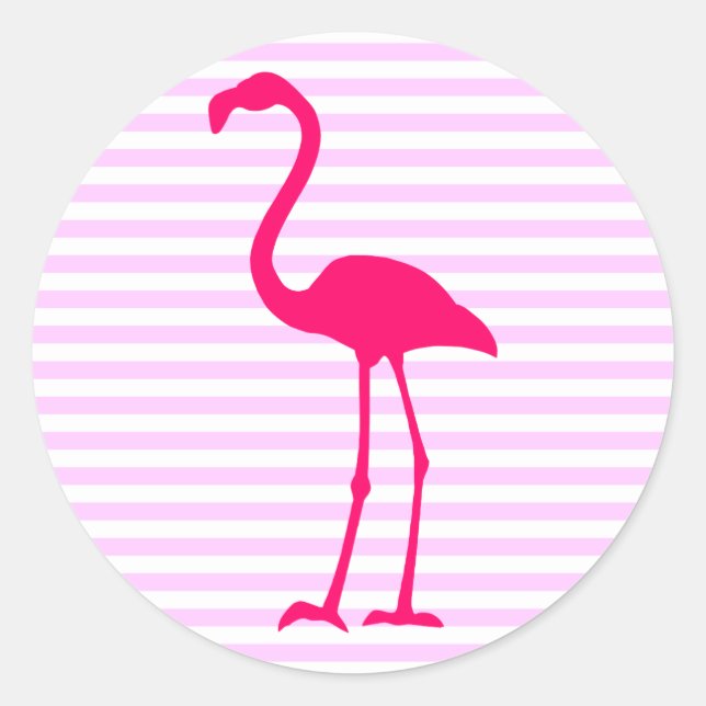Sticker Rond Blancs personnalisables Flamant rose rose chaud (Devant)