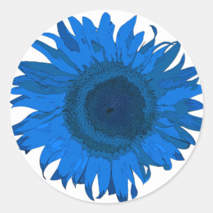 Sticker Rond Bleu clair et blanc Pop Art Tournesol
