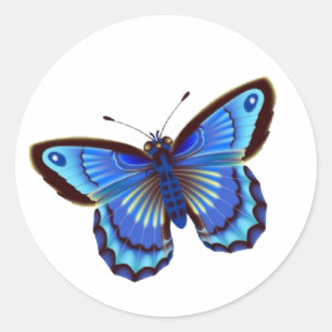 Sticker Rond Bleu papillon