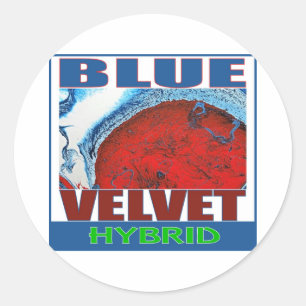 STICKER ROND BLEU VELVET HYBRID