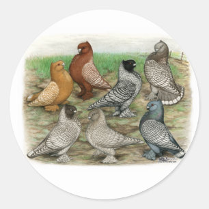 Sticker Rond Blondinettes Laced Pigeons de Frill Classique