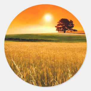 Sticker Rond Blood-Red Sunset