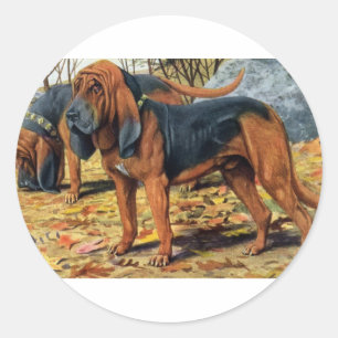 Sticker Rond Bloodhound