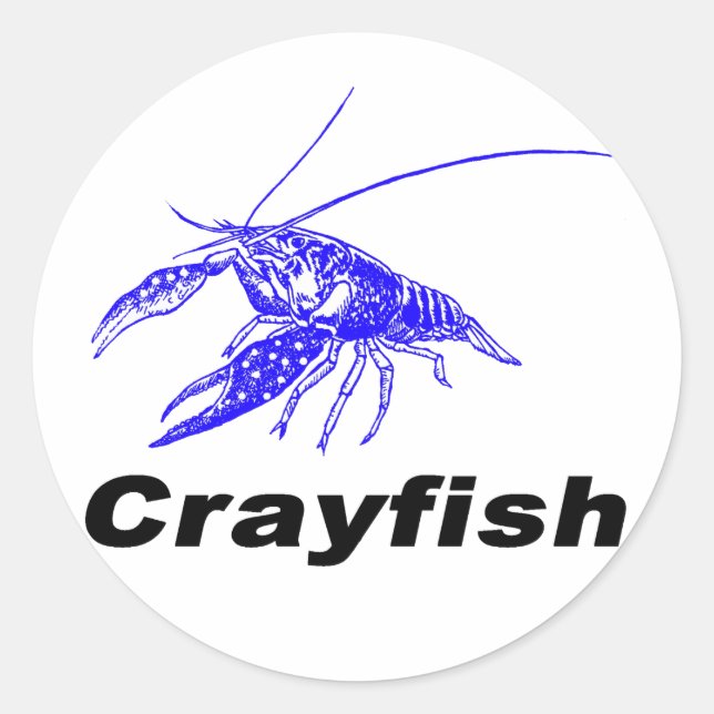 Sticker Rond blue crayfish (Devant)