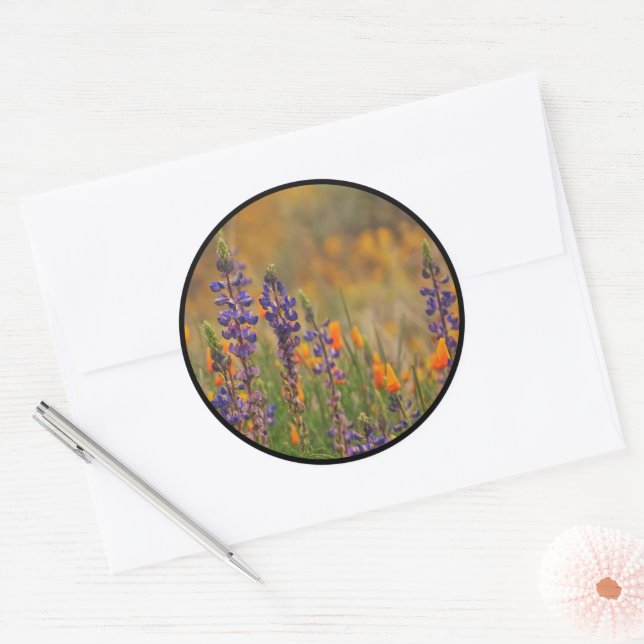 Sticker Rond Blue Desert Lupines Orange Poppies enveloppes phoq (Enveloppe)