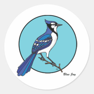 STICKER ROND BLUE JAY