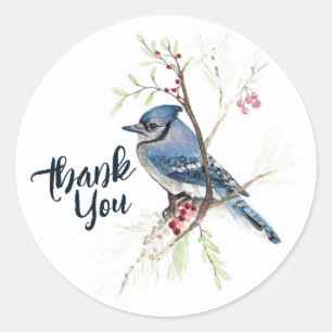 Sticker Rond Blue Jay Bird Berries Art