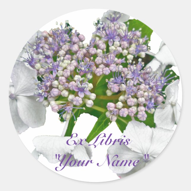 Sticker Rond Blue Lace Hydrangea Coordonner les éléments (Devant)