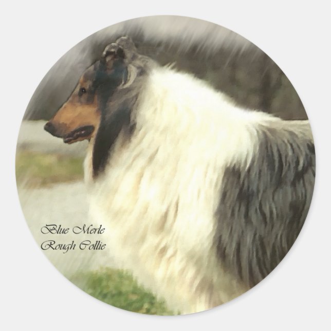 Sticker Rond Blue Merle Rough Collie Art Cadeaux (Devant)