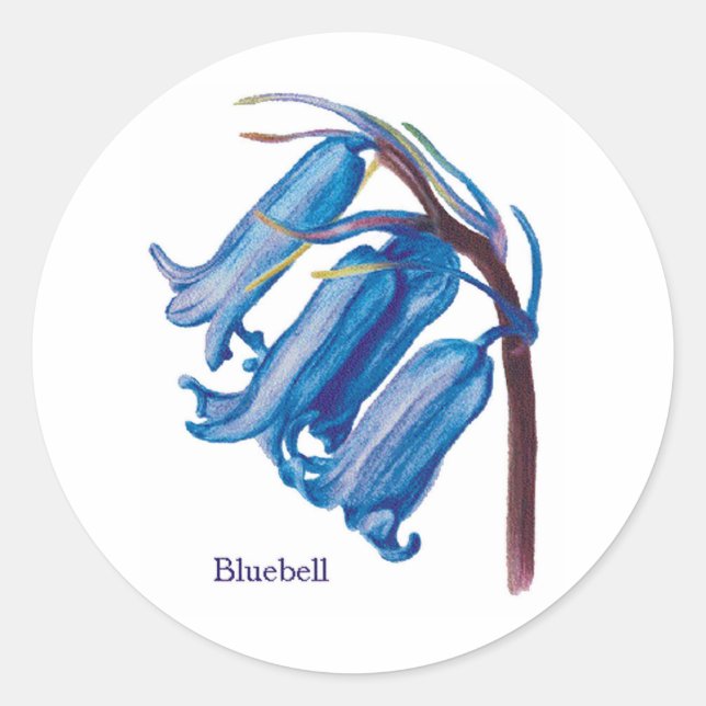 Sticker Rond Bluebell (Devant)