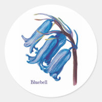Bluebell
