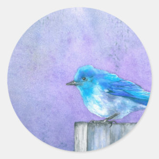 Sticker Rond Bluebird Bliss