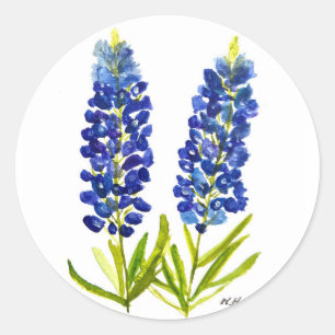 Sticker Rond Bluebonnets Texas State Flowers Lupine Watercolor