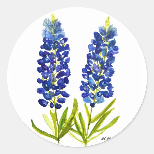 Sticker Rond Bluebonnets Texas State Flowers Lupine Watercolor (Devant)