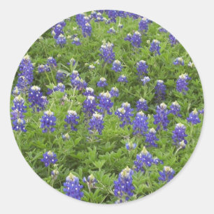 Sticker Rond Blues Power