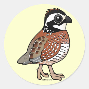 Sticker Rond Bobwhite