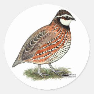 Sticker Rond Bobwhite Quail