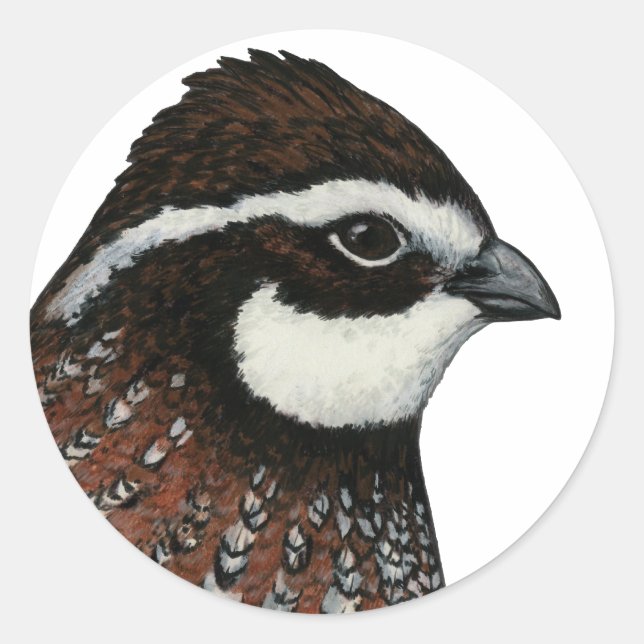 Sticker Rond Bobwhite Quail Head (Devant)
