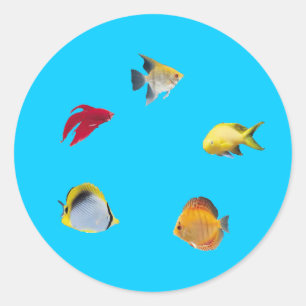 Sticker Rond Bocal à poissons
