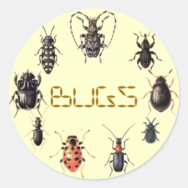 STICKER ROND BOGUES (Devant)