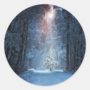 Sticker Rond Bois d'hiver