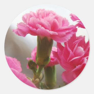 Sticker Rond Bonne fête des mères - Carnation
