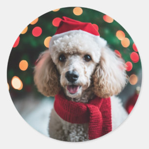 Sticker Rond Bonne fille Santa Photo de Poodle de compagnie Noë