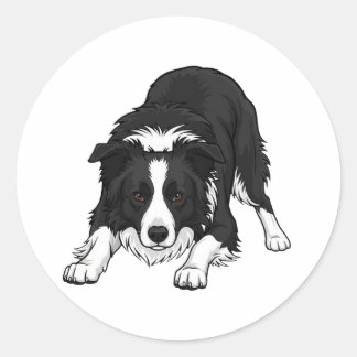 Sticker Rond Border Collie Dog