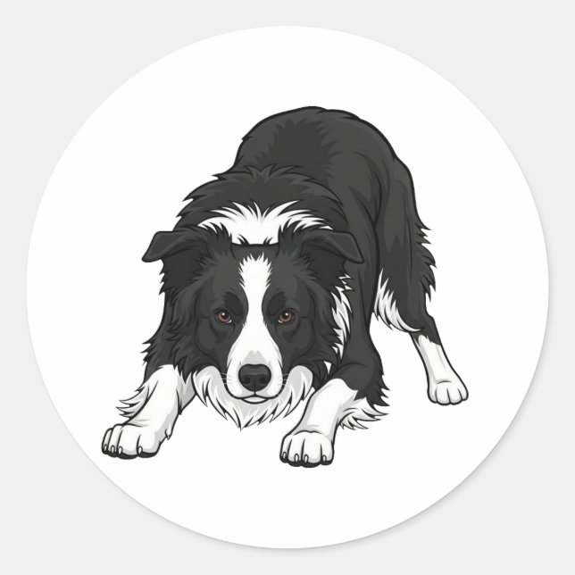 Sticker Rond Border Collie Dog (Devant)