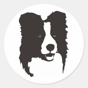 Sticker Rond Bordure Collie