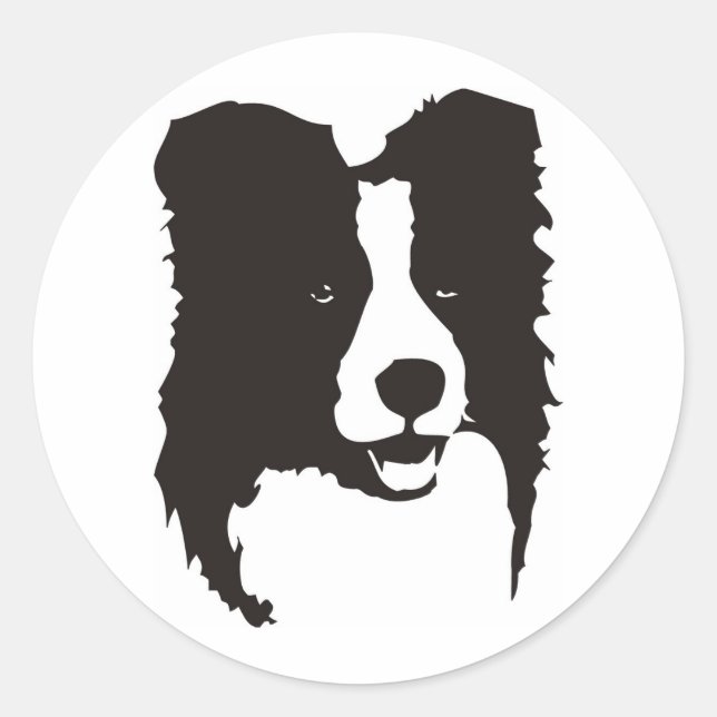 Sticker Rond Bordure Collie (Devant)