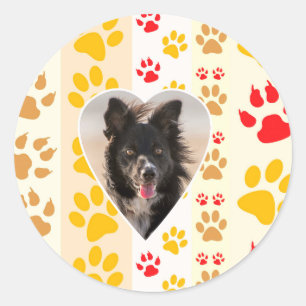 Sticker Rond Bordure Collie Empreinte de patte Amour Coeur