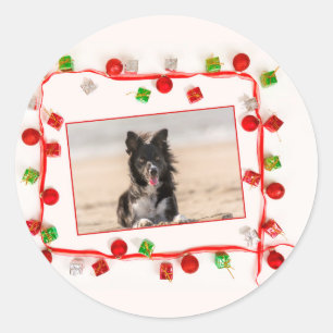 Sticker Rond Bordure Collie Noël