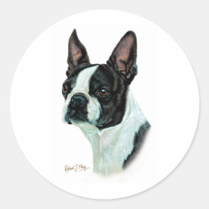 Sticker Rond Boston Terrier