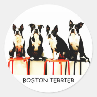 STICKER ROND BOSTON TERRIER