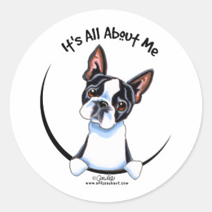 Sticker Rond Boston Terrier C'Est Tout Pour Moi