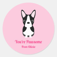 Boston Terrier Chien Saint-Valentin