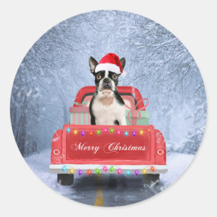 Sticker Rond Boston Terrier Dog Neige assis sur le camion de No
