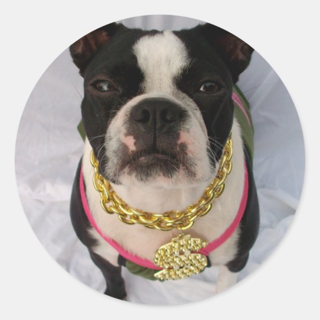 Sticker Rond Boston Terrier Rapper (Devant)