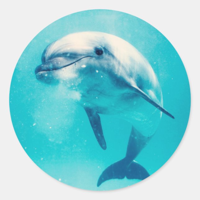 Sticker Rond Bottlenosed Dolphin Underwater (Devant)