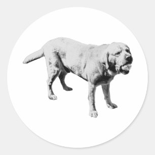 Sticker Rond Boule