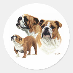 Sticker Rond Bouledogue