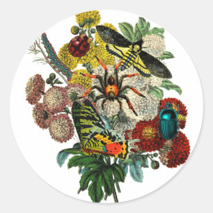 Sticker Rond Bouquet de fleurs avec des bogues Alterne art Vint