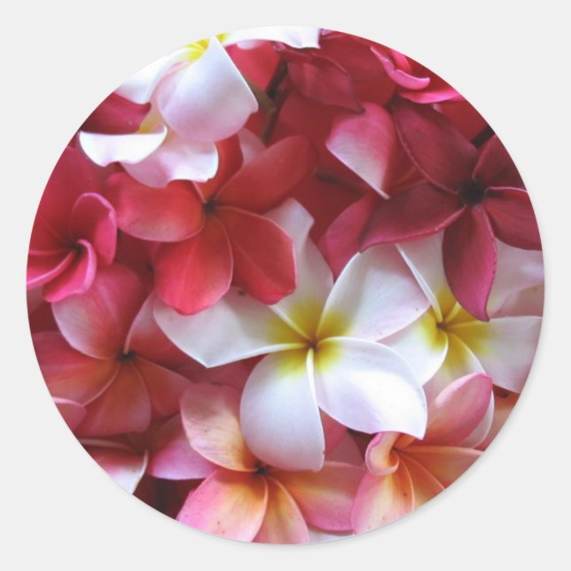 Sticker Rond Bouquet de grappe de fleurs Plumeria (Devant)