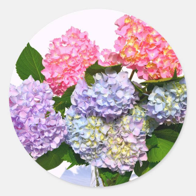 Sticker Rond Bouquet d'hortensia bleu rose violet élégant (Devant)